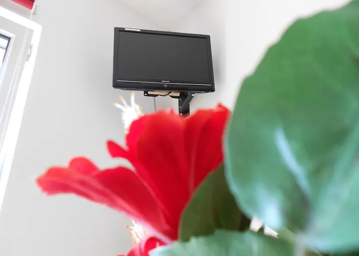 Lejlighed Beethoven *